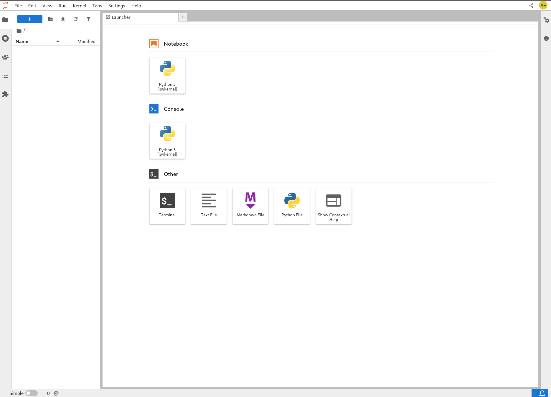 JupyterLab interface in browser