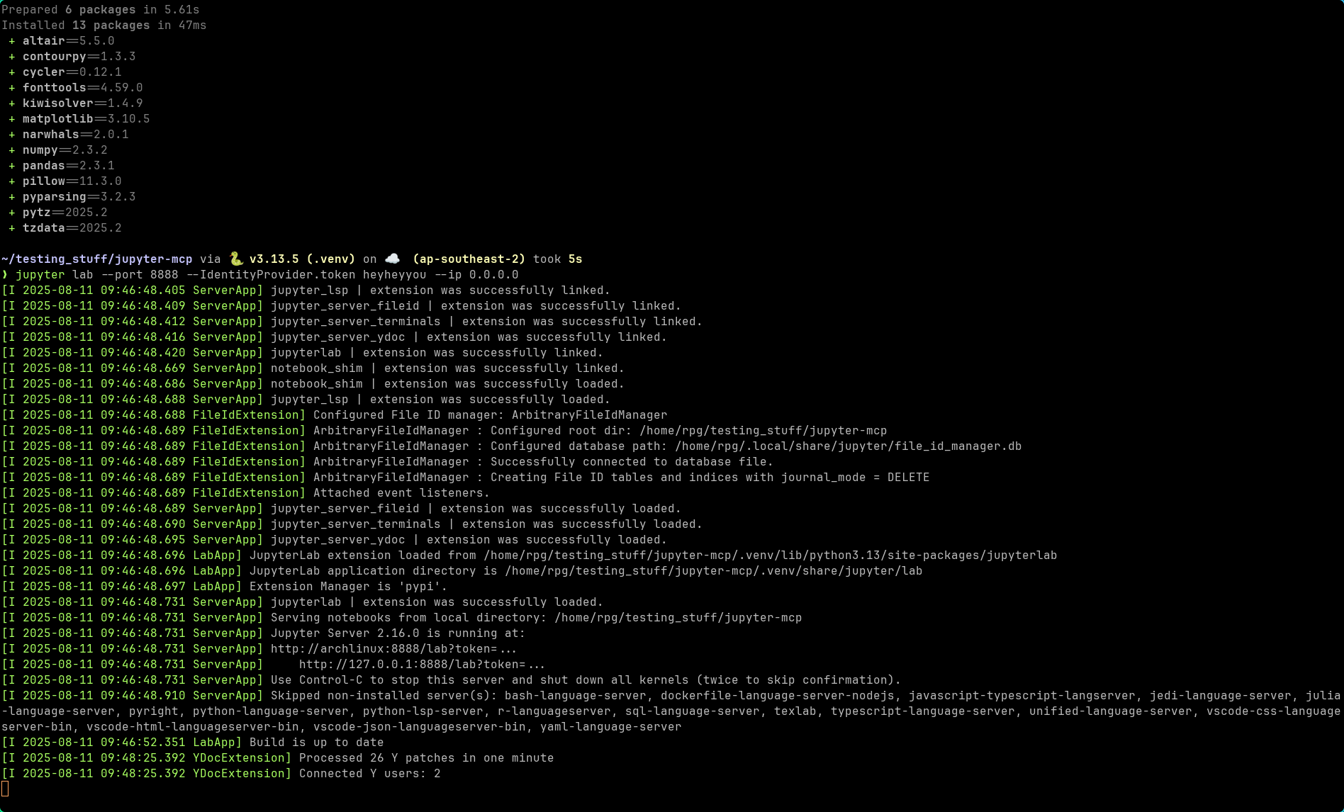Terminal showing JupyterLab startup
