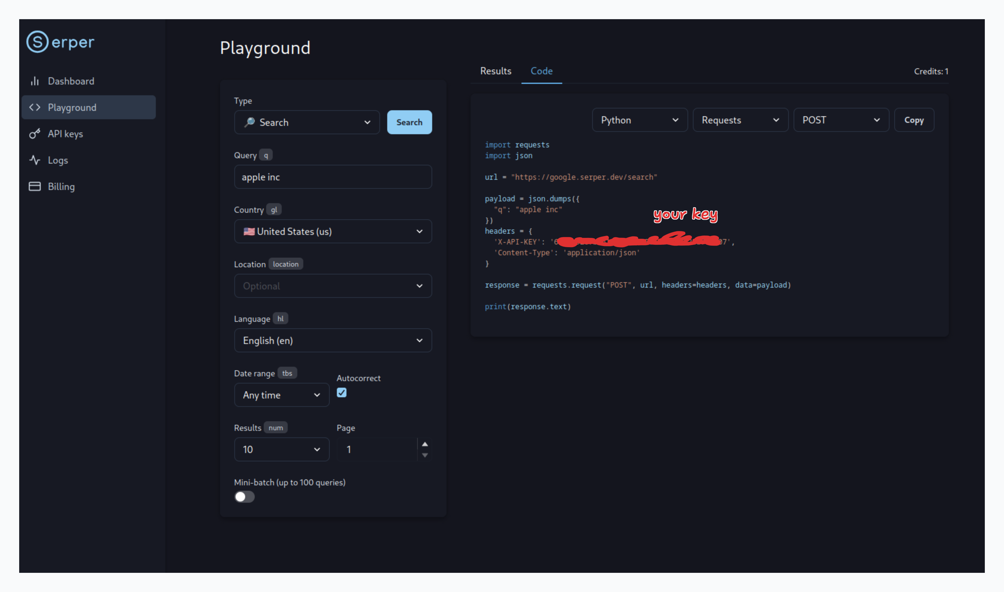 Serper playground with API key